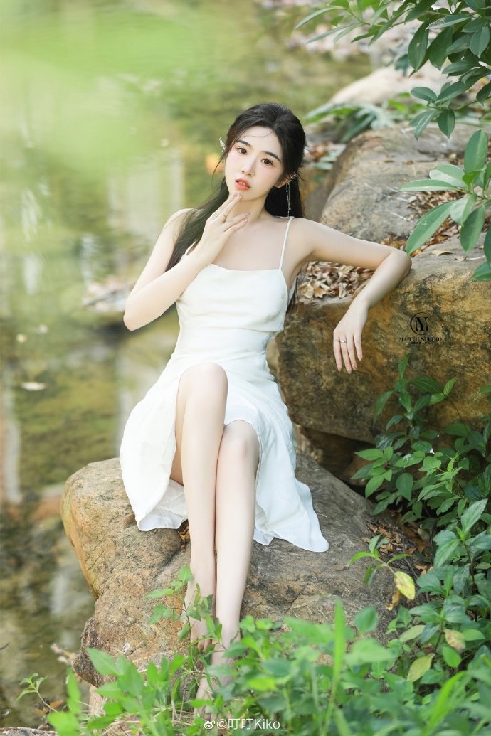小森林 夏秋篇